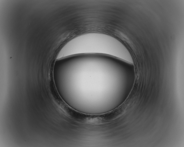 X0000088430452200705220857