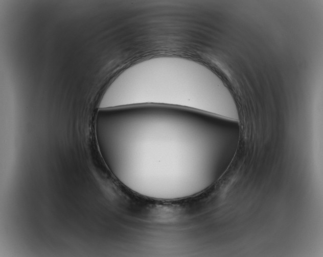 X0000088430455200705220858