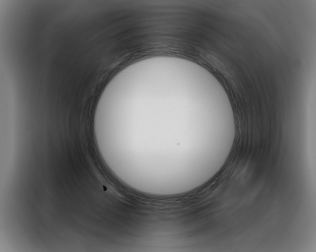 X0000088430456200705220858