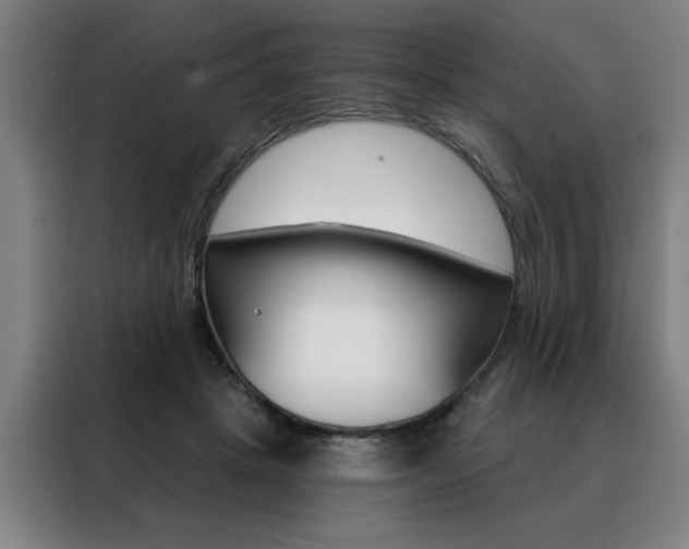 X0000088430457200705220858