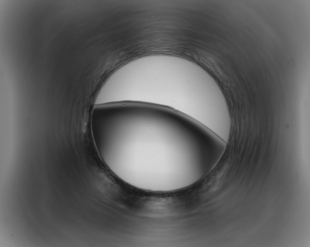 X0000088430458200705220858
