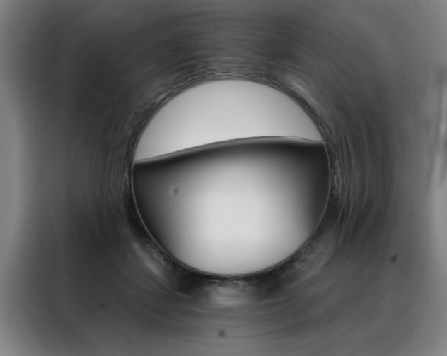 X0000088430459200705220858
