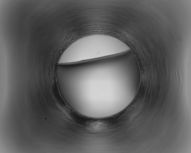 X0000088430460200705220858