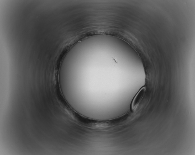 X0000088430462200705220858