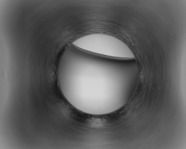 X0000088430464200705220858