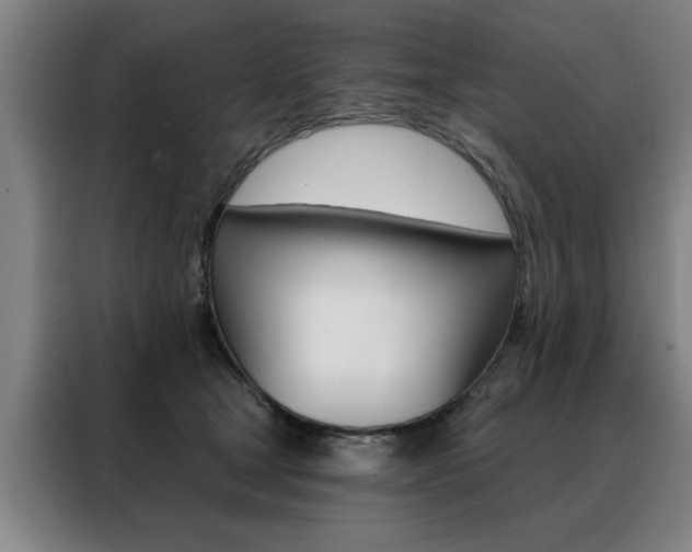 X0000088430465200705220858