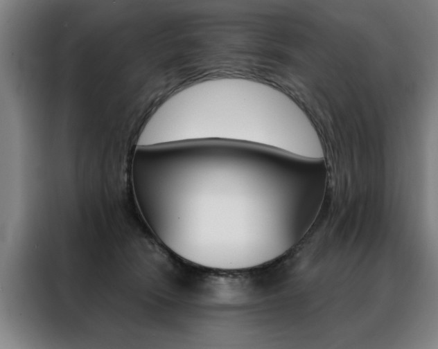 X0000088430466200705220858
