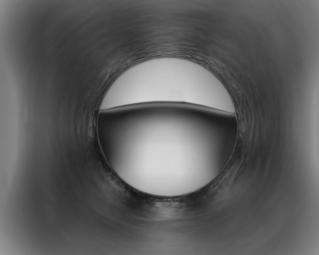 X0000088430470200705220858