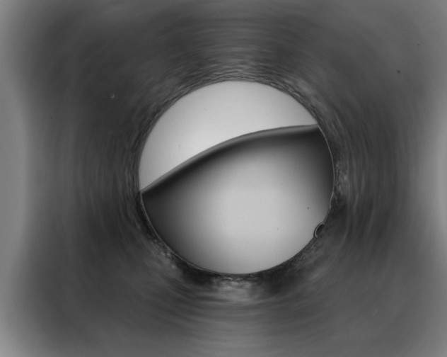 X0000088430471200705220858