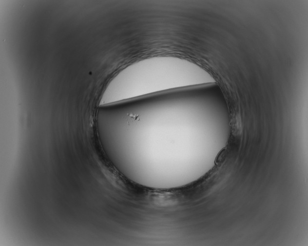 X0000088430472200705220858