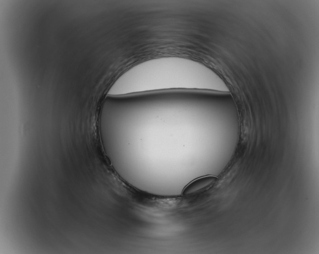 X0000088430473200705220858