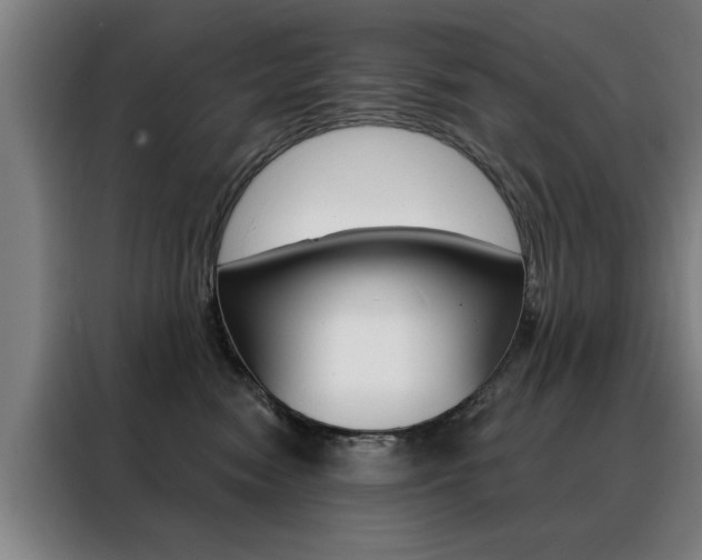 X0000088430474200705220858