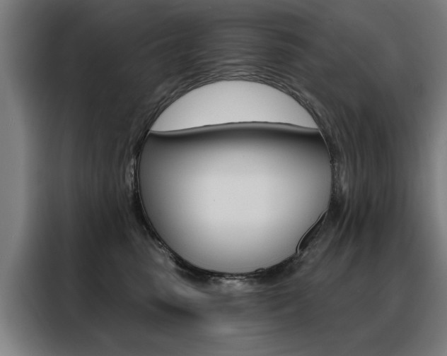X0000088430475200705220858