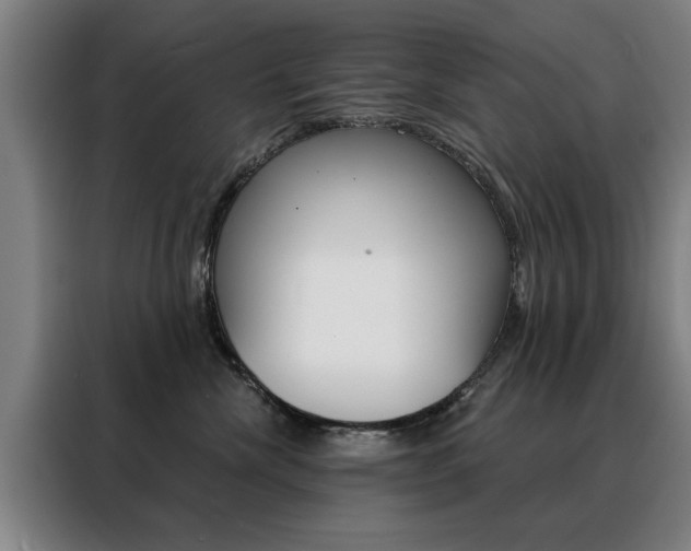 X0000088430476200705220858