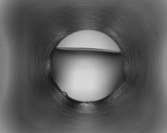 X0000088430477200705220858