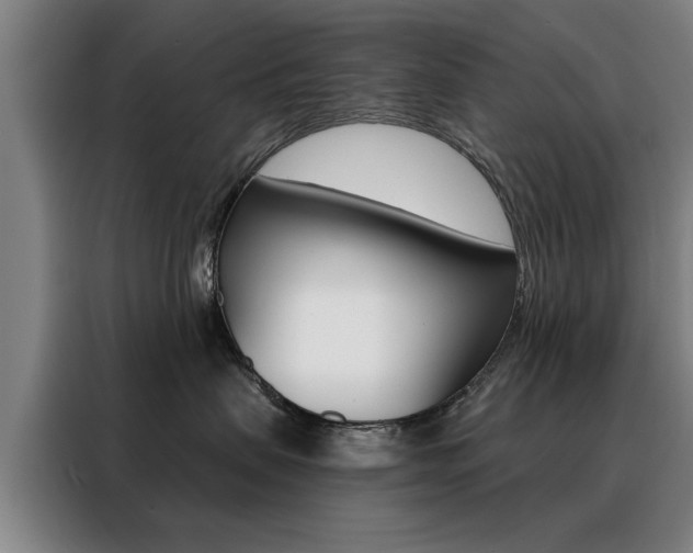 X0000088430479200705220858