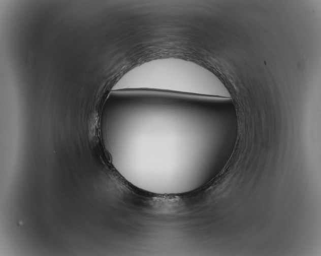 X0000088430480200705220858
