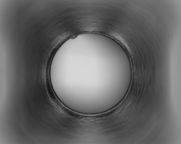 X0000088430482200705220857