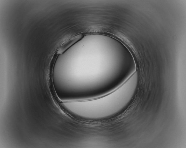 X0000088430485200705220857