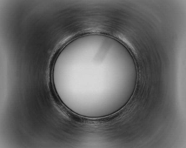 X0000088430486200705220857