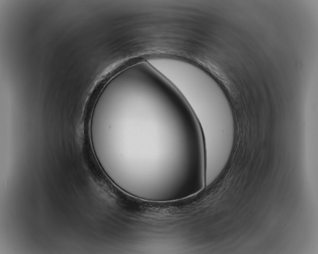 X0000088430488200705220857