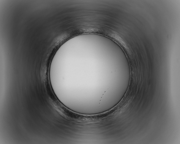 X0000088430490200705220857