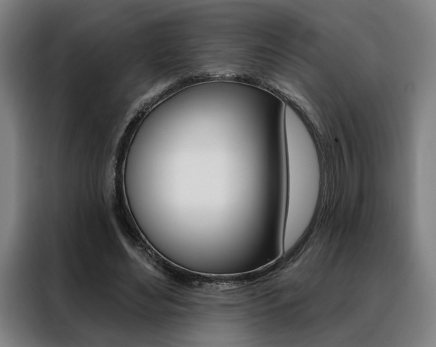 X0000088430492200705220857