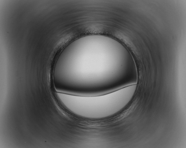 X0000088430493200705220857