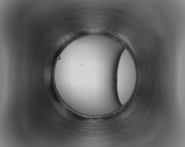 X0000088430495200705220857