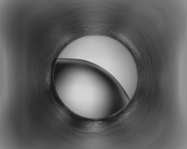 X0000088430497200705220857