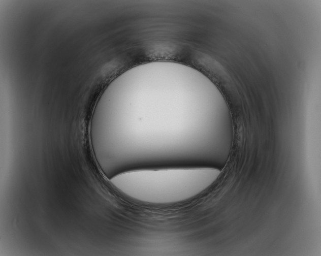X0000088430498200705220857
