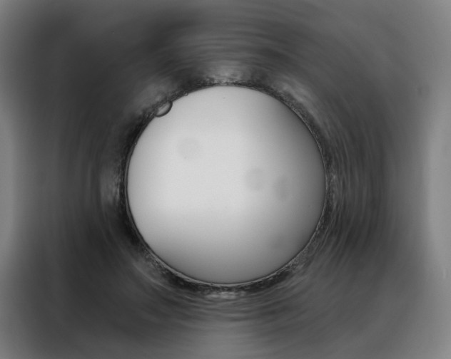 X0000088430499200705220857