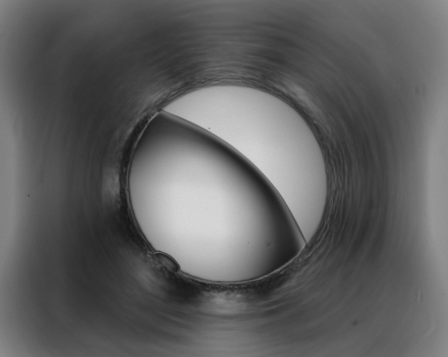 X0000088430500200705220857