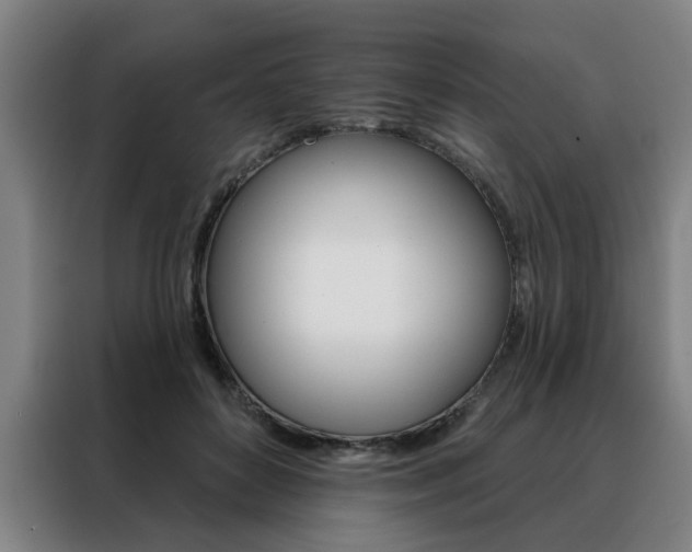 X0000088430504200705220857