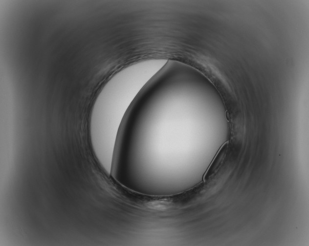 X0000088430505200705220857