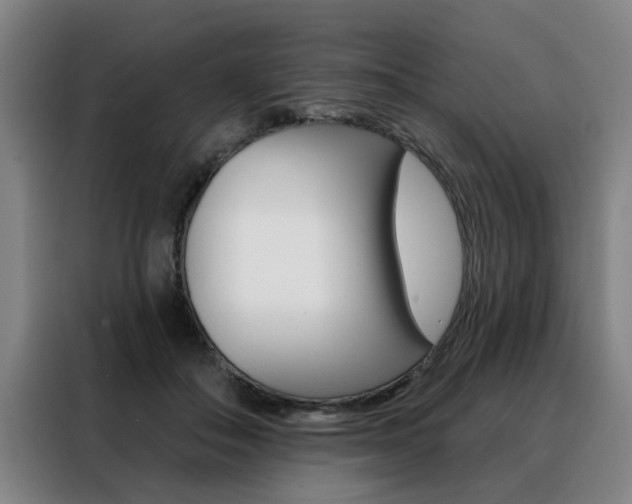 X0000088430506200705220857
