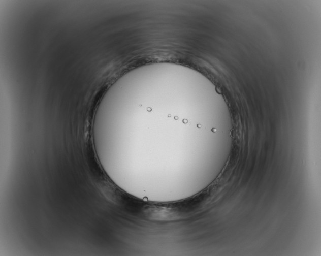 X0000088430507200705220857