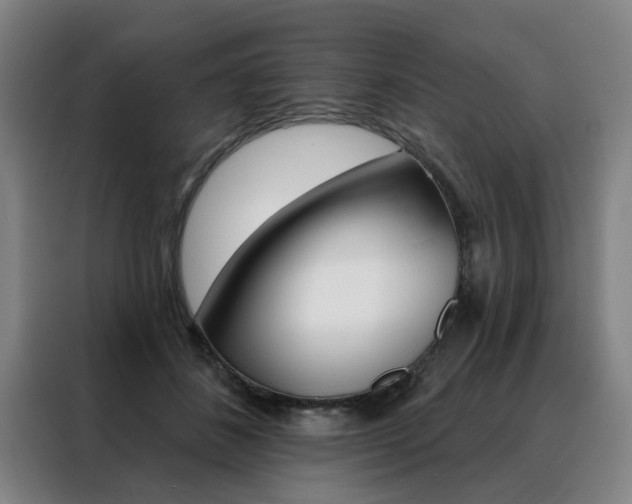 X0000088430508200705220857