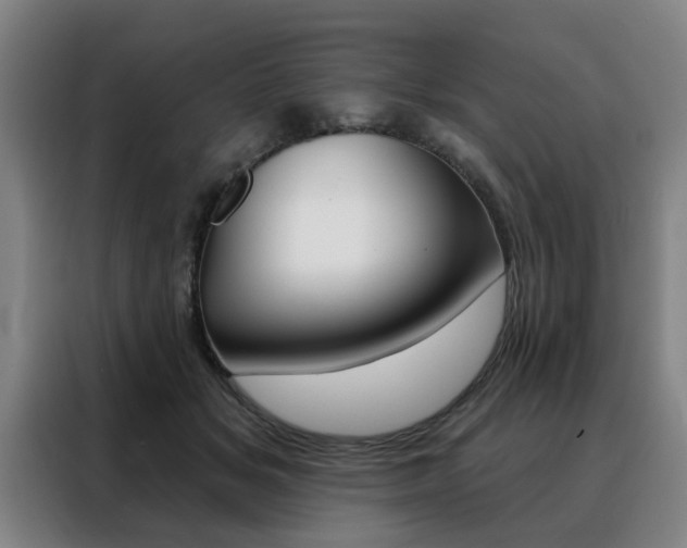 X0000088430509200705220857