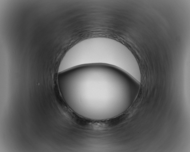 X0000088430512200705220857