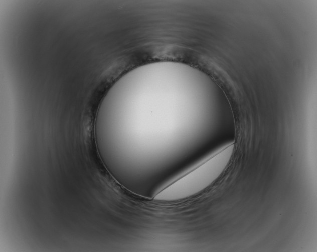 X0000088430513200705220857