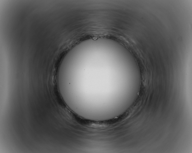 X0000088430515200705220857