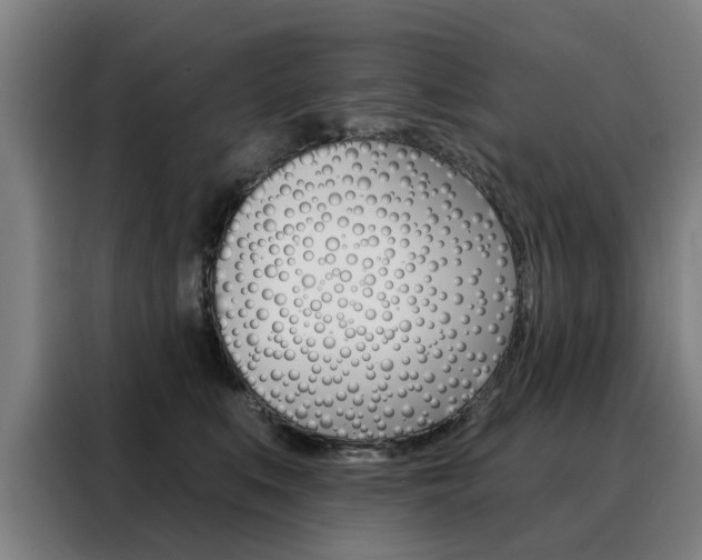 X0000088430519200705220857