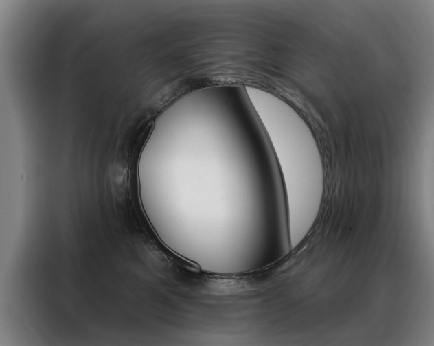 X0000088430521200705220857