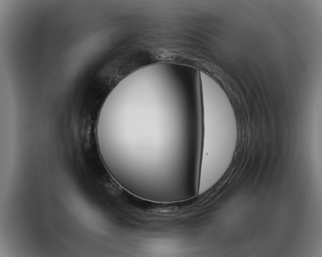 X0000088430525200705220857