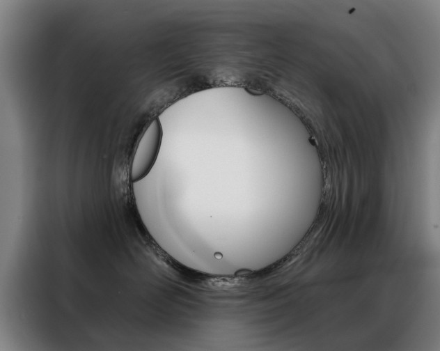 X0000088430526200705220857