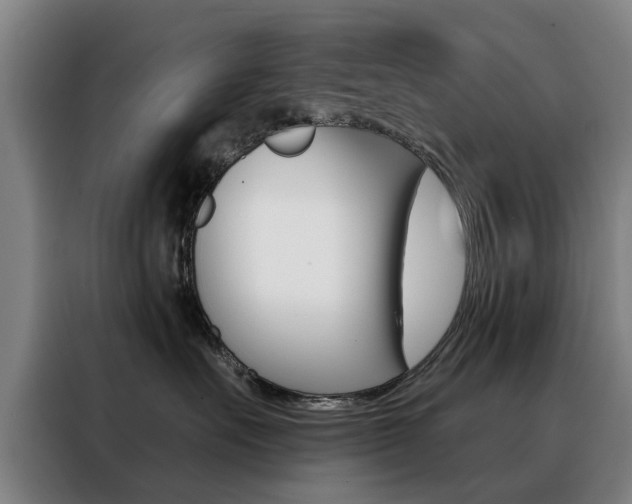 X0000088430527200705220857