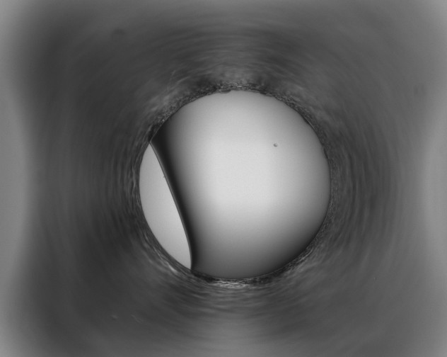X0000088430528200705220857