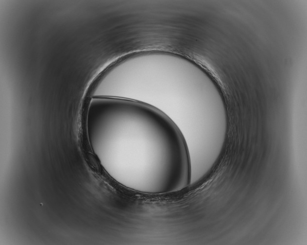 X0000088430532200705220856