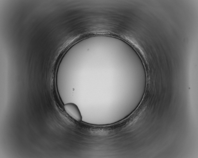 X0000088430533200705220856
